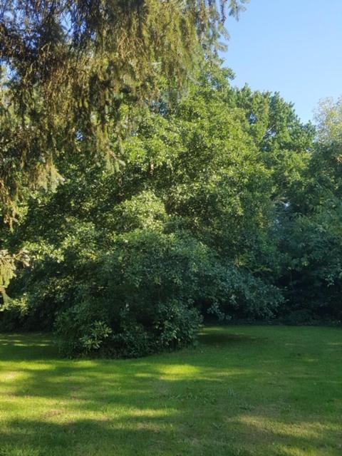 סחורל Lodge 'De Groene Parel' מראה חיצוני תמונה